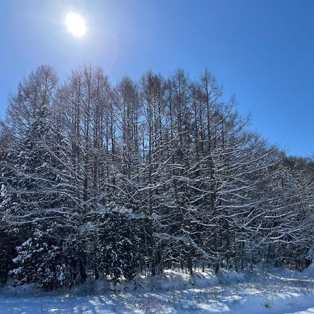 月ノ森 -Moon Forest- Fujikawaguchiko Buitenkant foto